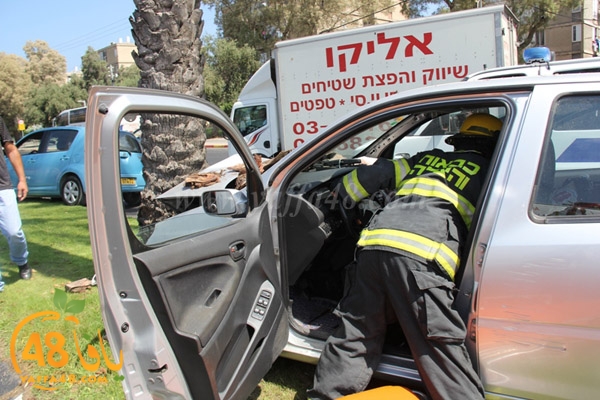 acc yaffa jasterret (9).JPG